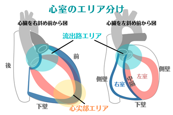 リード 流出路